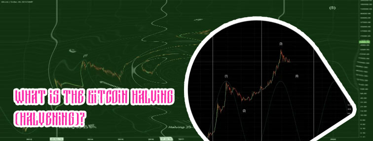 Btc halving date