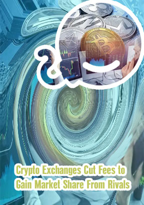 Centralized crypto saw over trading year