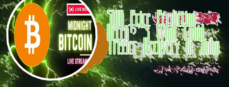 Shib usd crypto