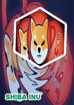 Shiba currency