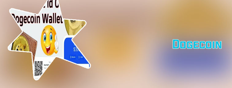 Top 100 dogecoin wallets