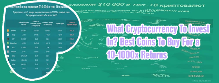Top 1000 crypto